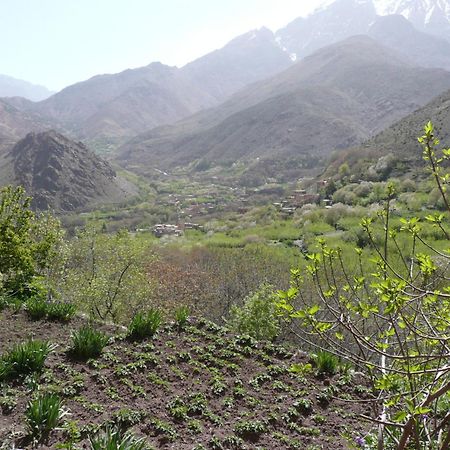Gite Atlas Mazik Imlil  Bagian luar foto